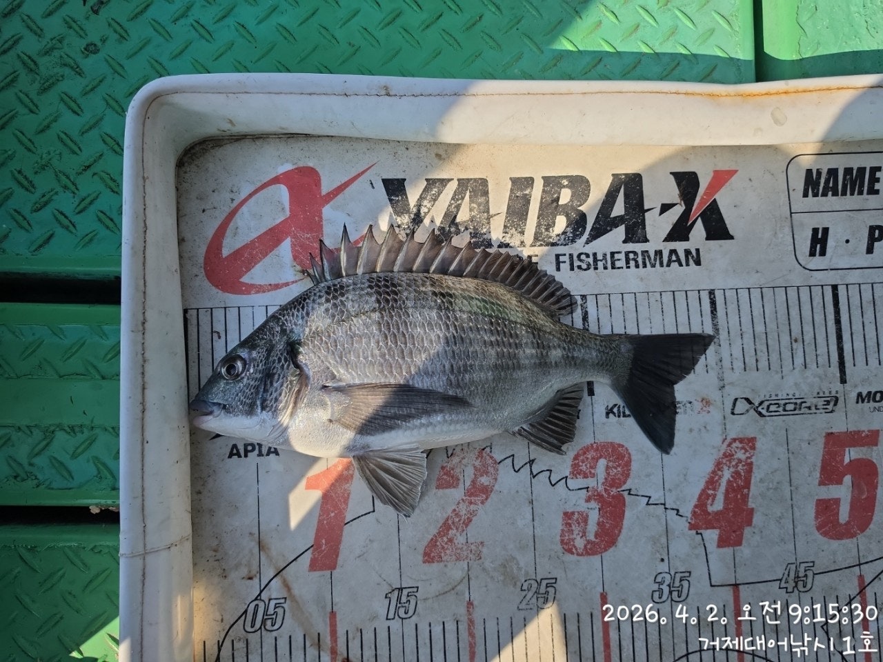 ����ڰ� �ø� �̹���