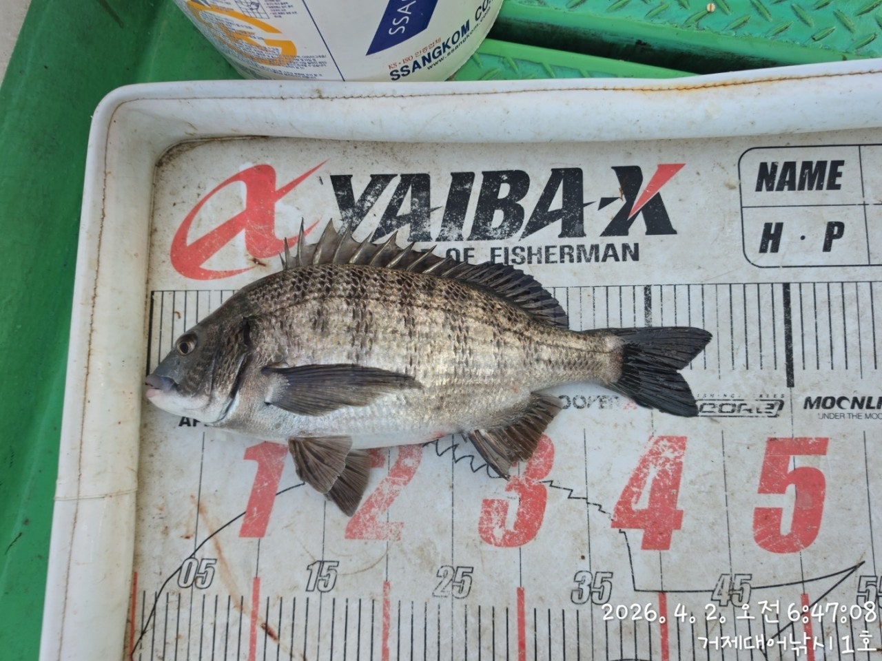 ����ڰ� �ø� �̹���