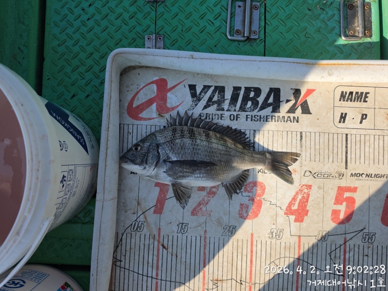 ����ڰ� �ø� �̹���