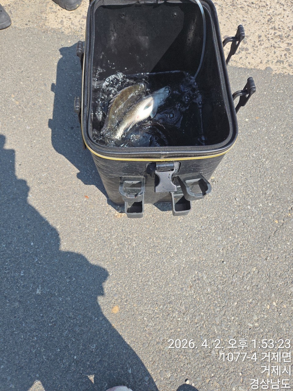 ����ڰ� �ø� �̹���