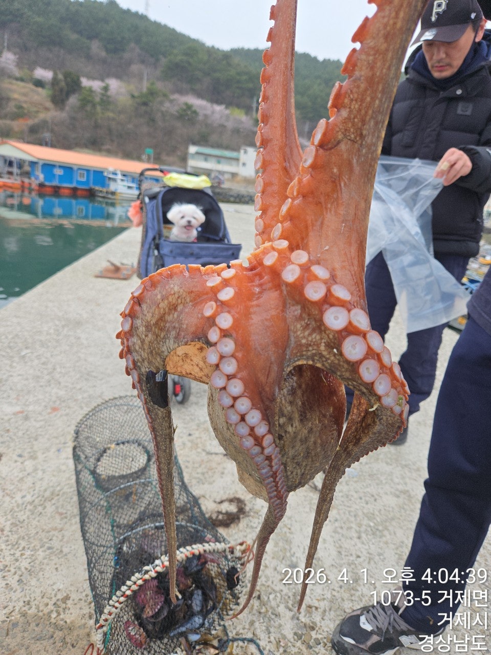 ����ڰ� �ø� �̹���