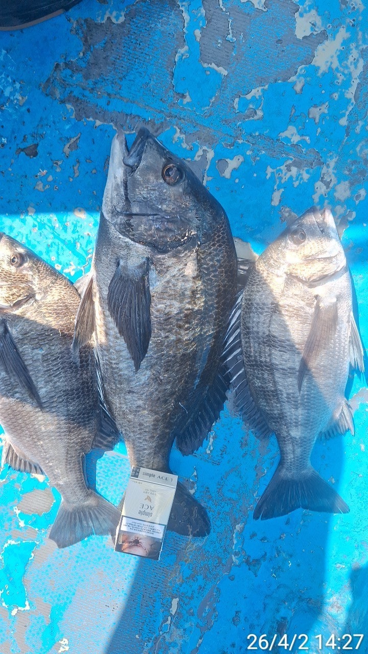 ����ڰ� �ø� �̹���