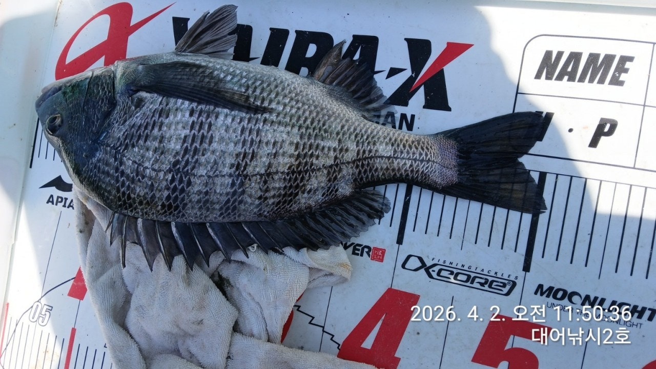 ����ڰ� �ø� �̹���