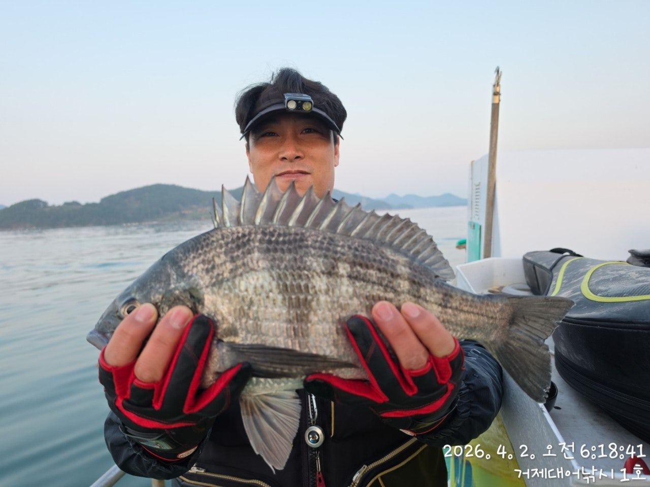 ����ڰ� �ø� �̹���