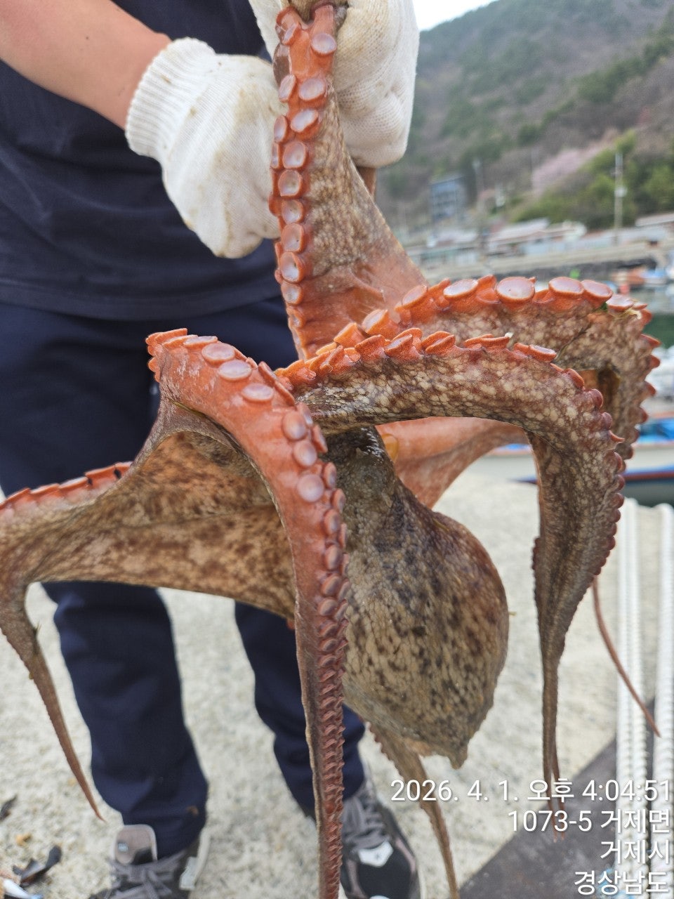 ����ڰ� �ø� �̹���