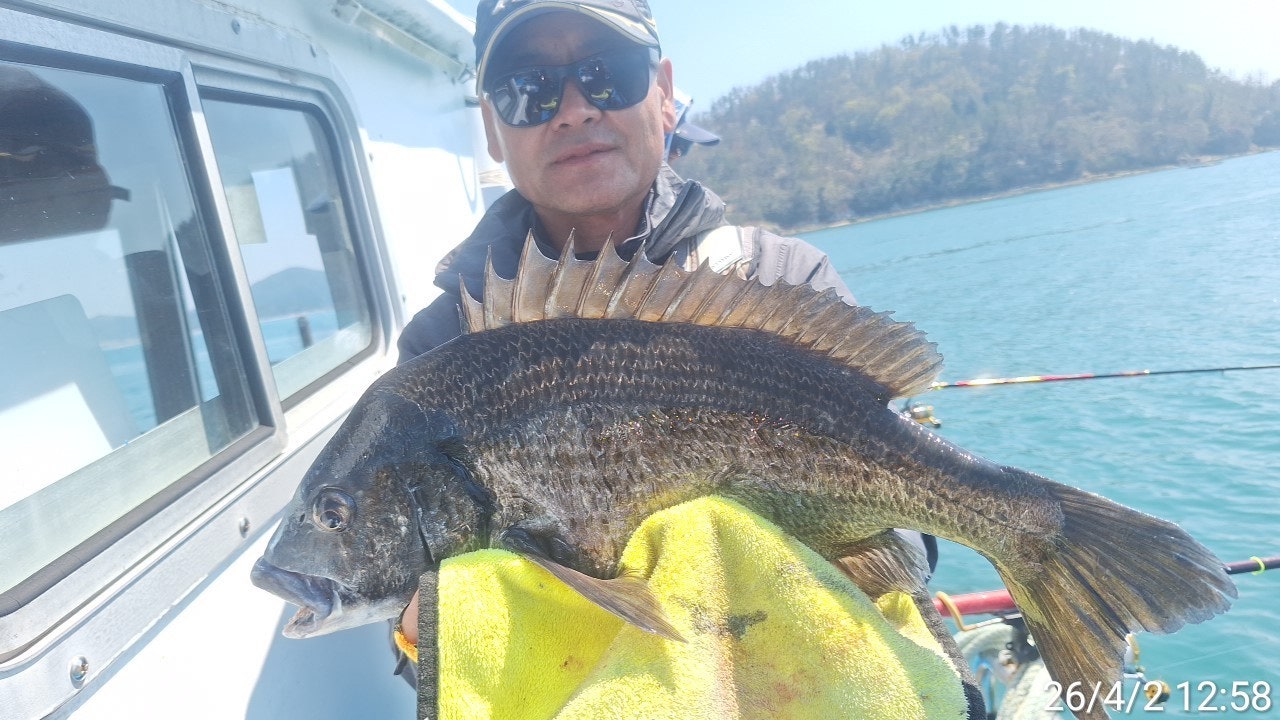 ����ڰ� �ø� �̹���