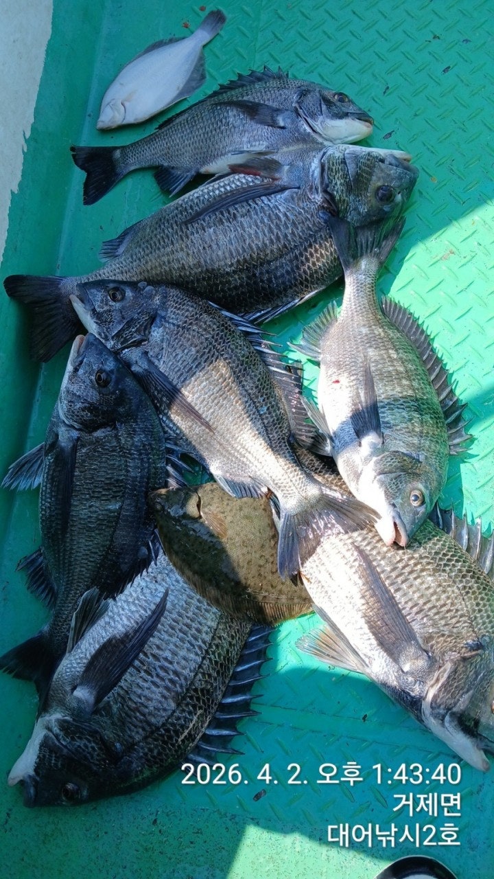 ����ڰ� �ø� �̹���