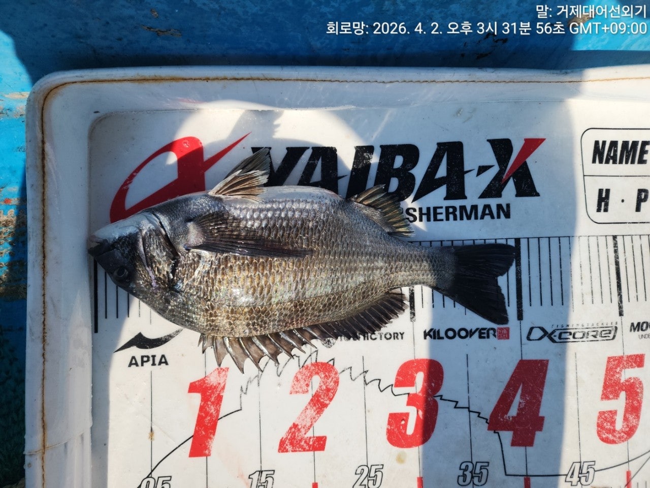 ����ڰ� �ø� �̹���