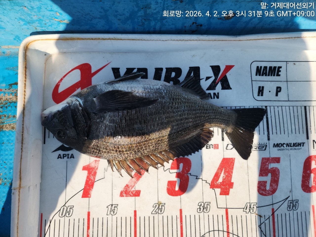 ����ڰ� �ø� �̹���