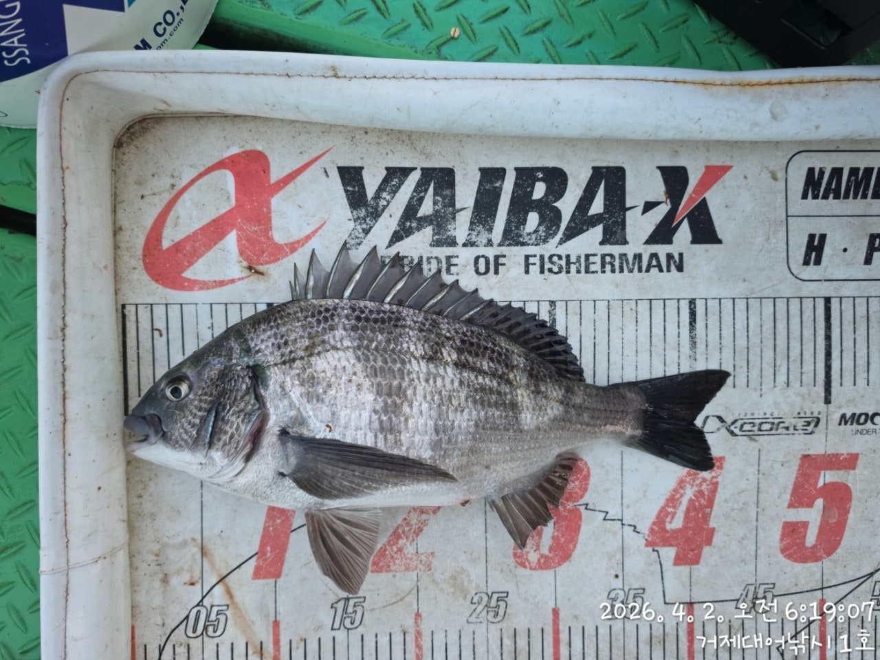 ����ڰ� �ø� �̹���