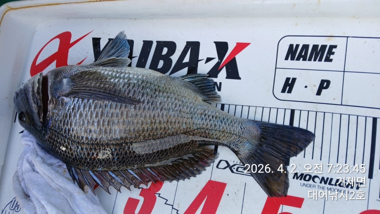 ����ڰ� �ø� �̹���