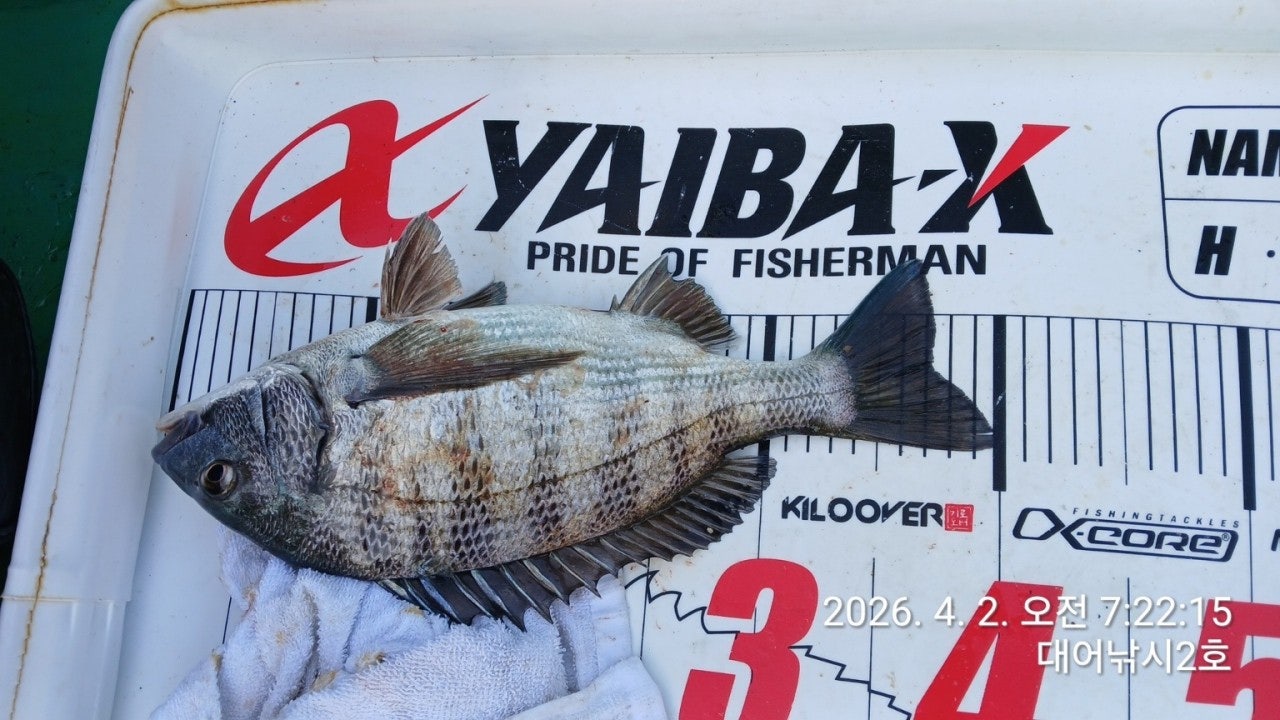 ����ڰ� �ø� �̹���