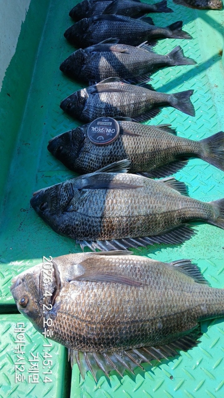 ����ڰ� �ø� �̹���