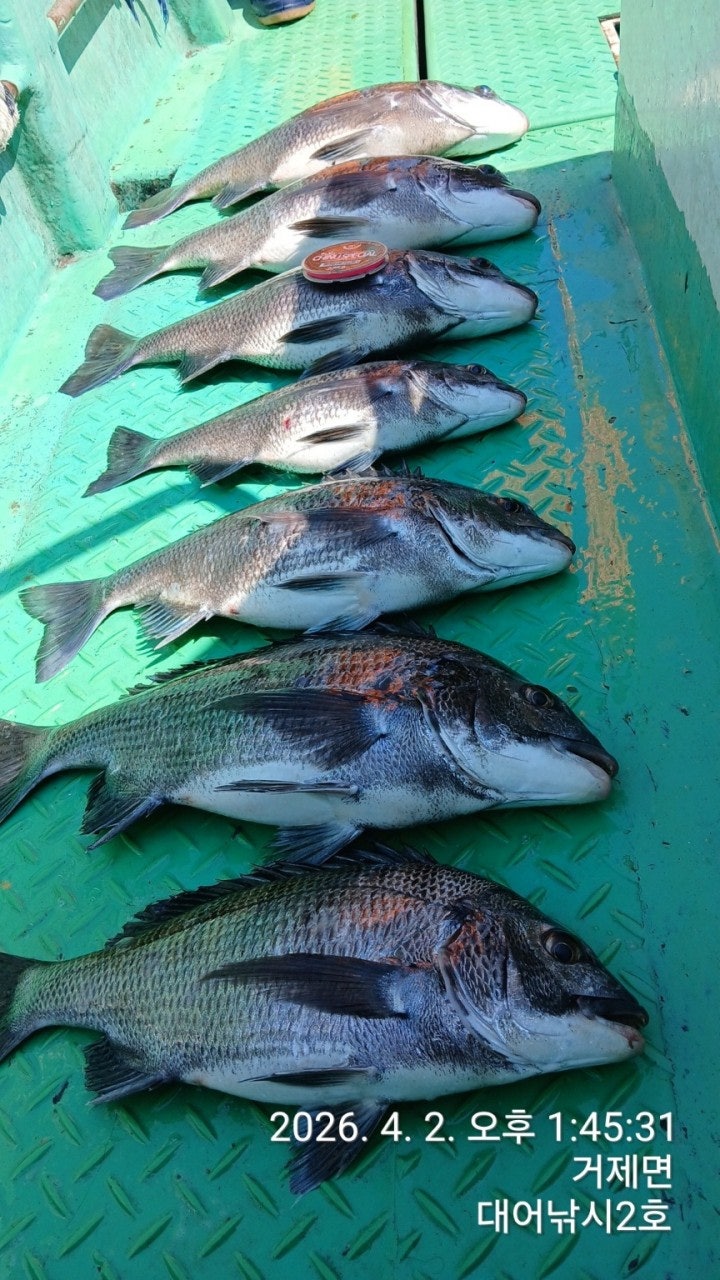 ����ڰ� �ø� �̹���