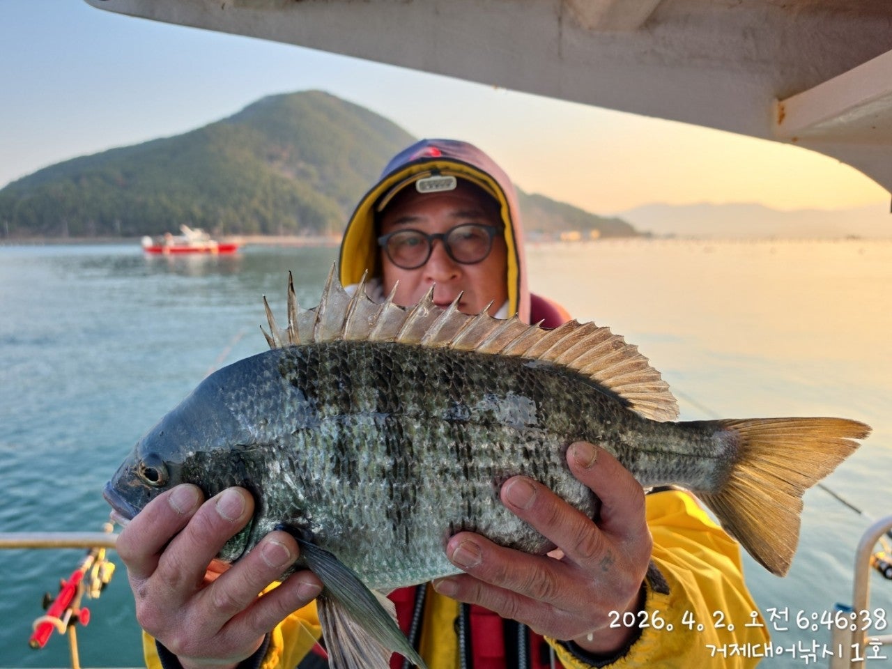 ����ڰ� �ø� �̹���