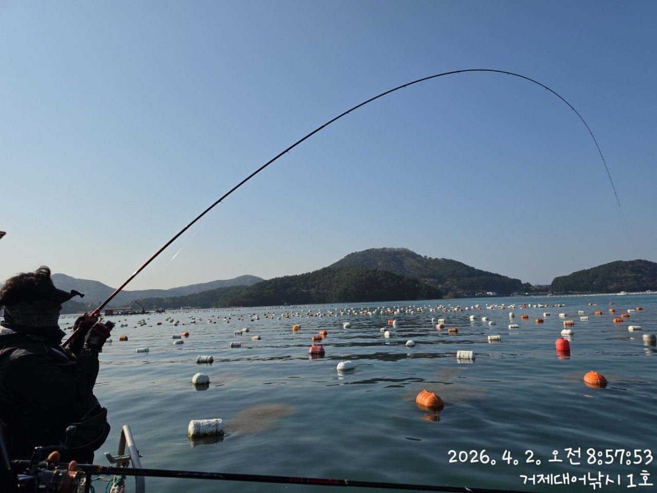 ����ڰ� �ø� �̹���