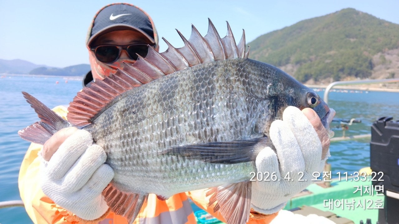 ����ڰ� �ø� �̹���