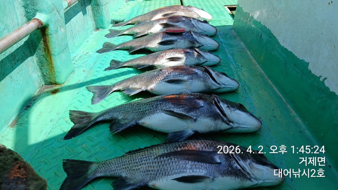 ����ڰ� �ø� �̹���