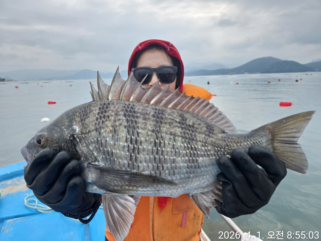 ����ڰ� �ø� �̹���