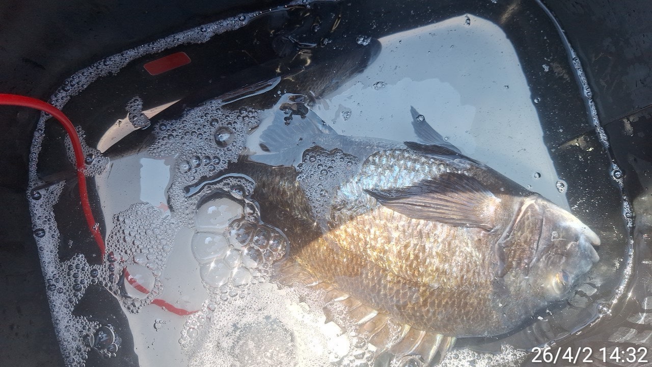 ����ڰ� �ø� �̹���