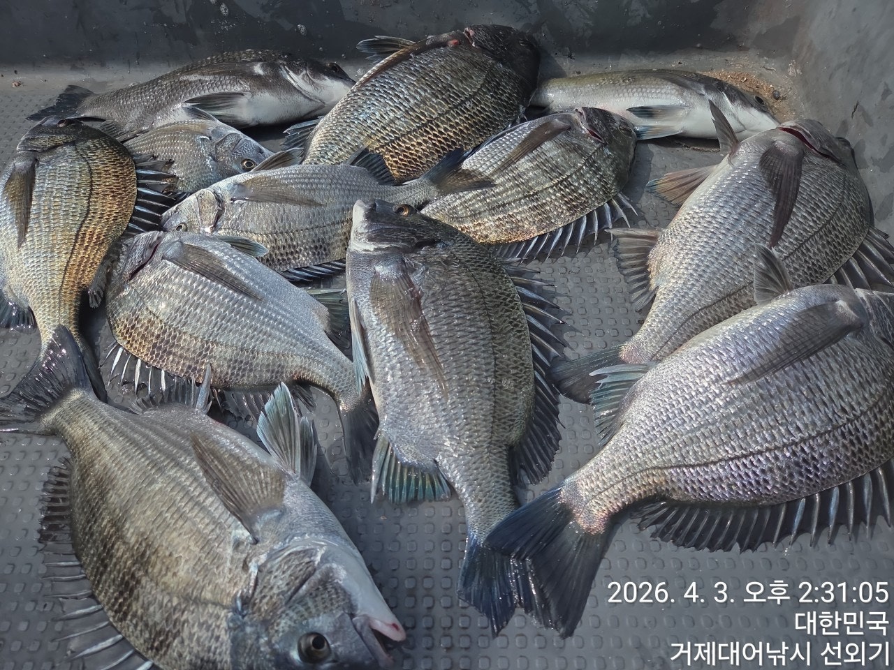 ����ڰ� �ø� �̹���