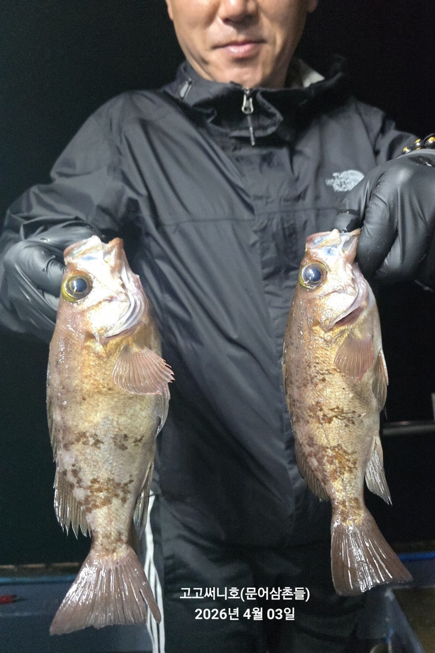 ����ڰ� �ø� �̹���