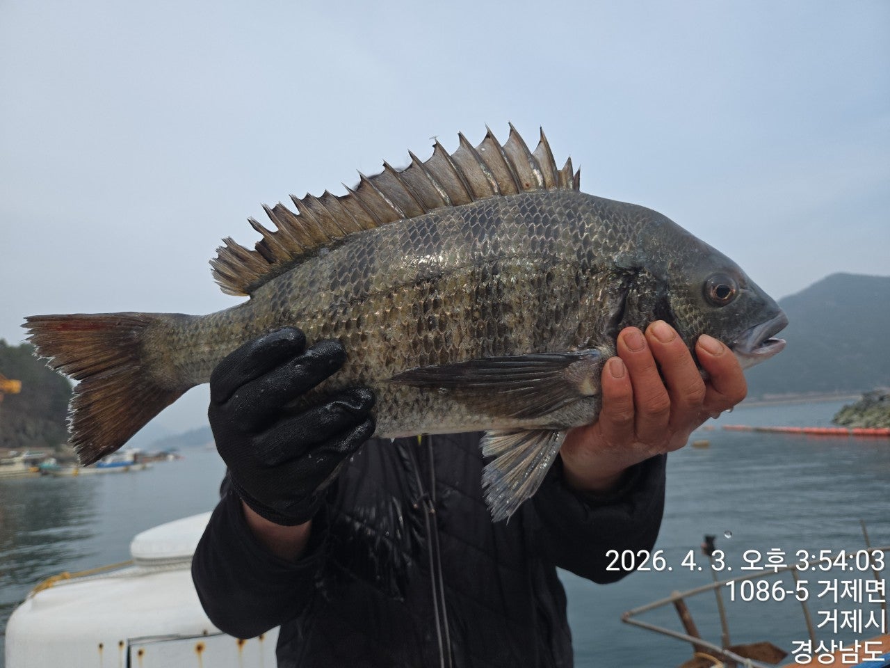 ����ڰ� �ø� �̹���