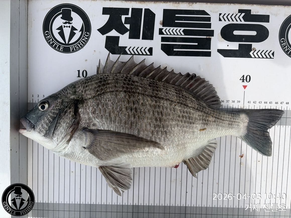 ����ڰ� �ø� �̹���