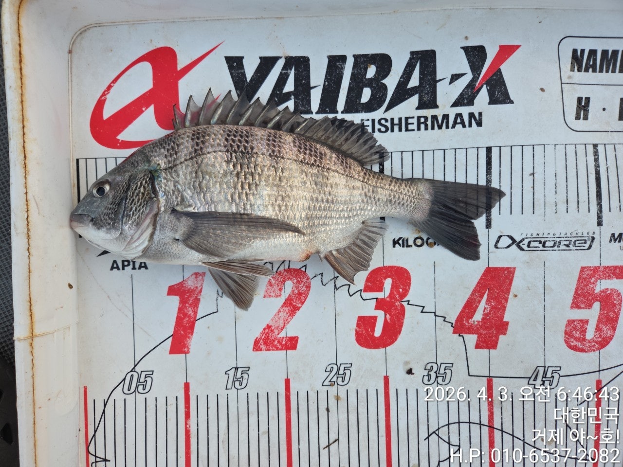 ����ڰ� �ø� �̹���