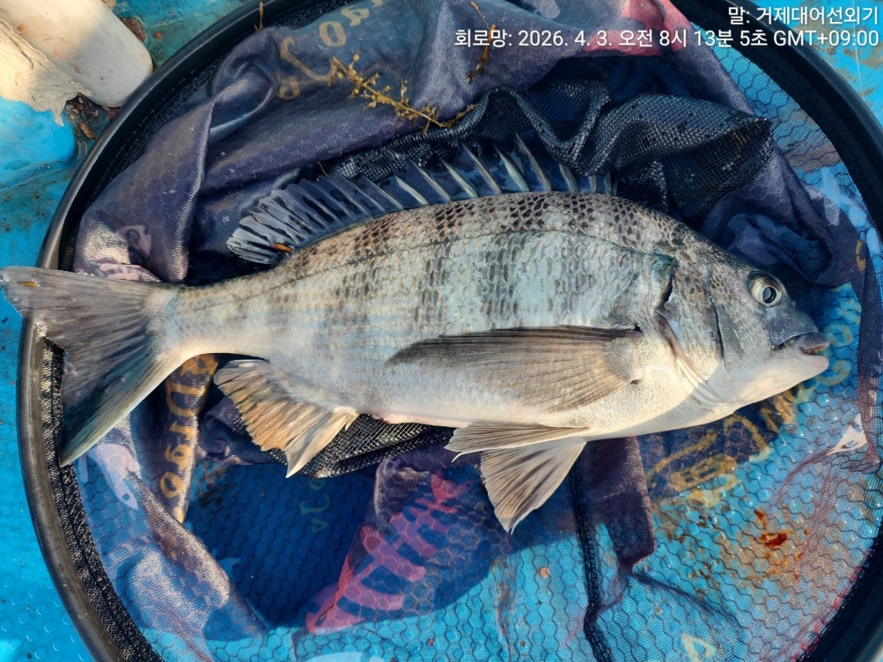 ����ڰ� �ø� �̹���