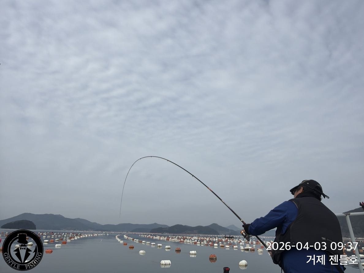 ����ڰ� �ø� �̹���