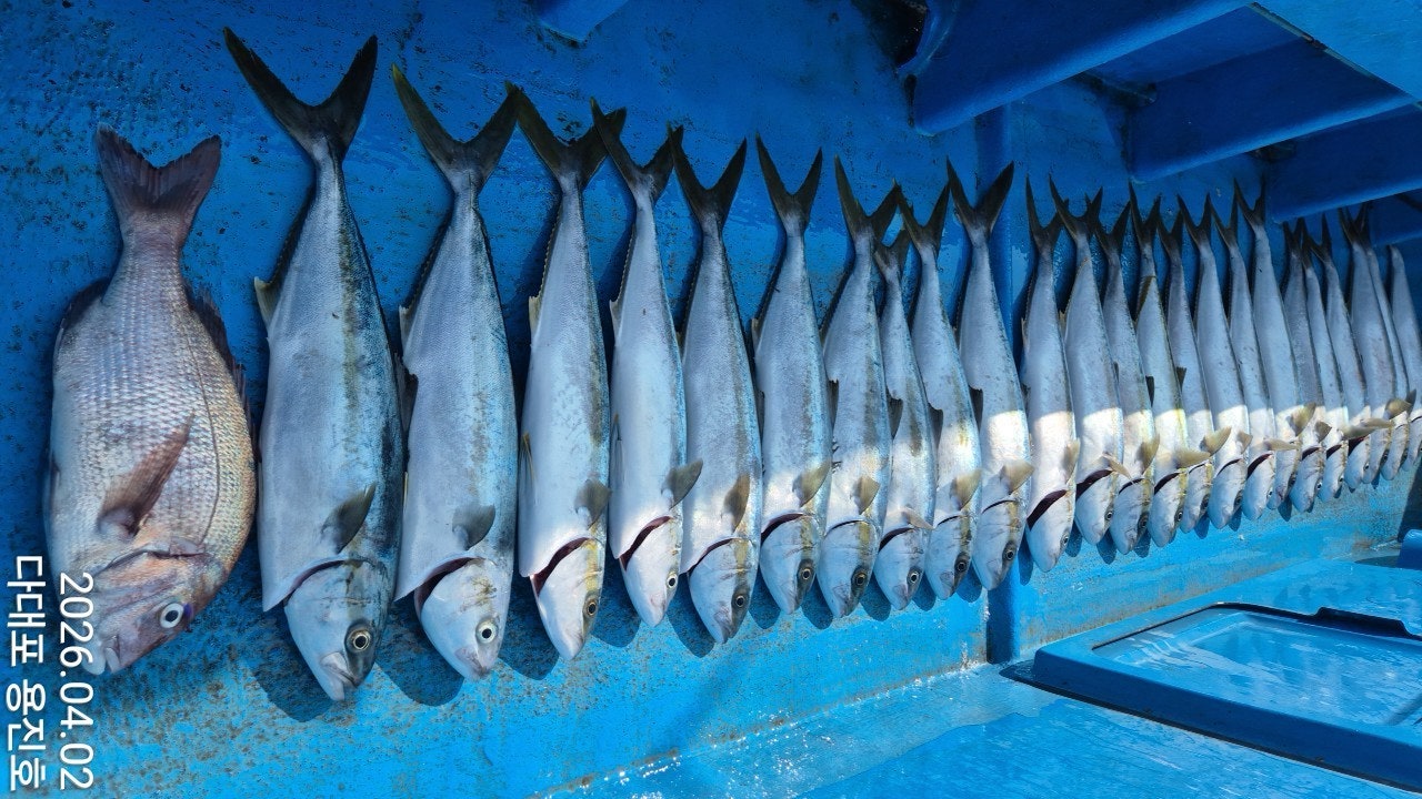 ����ڰ� �ø� �̹���