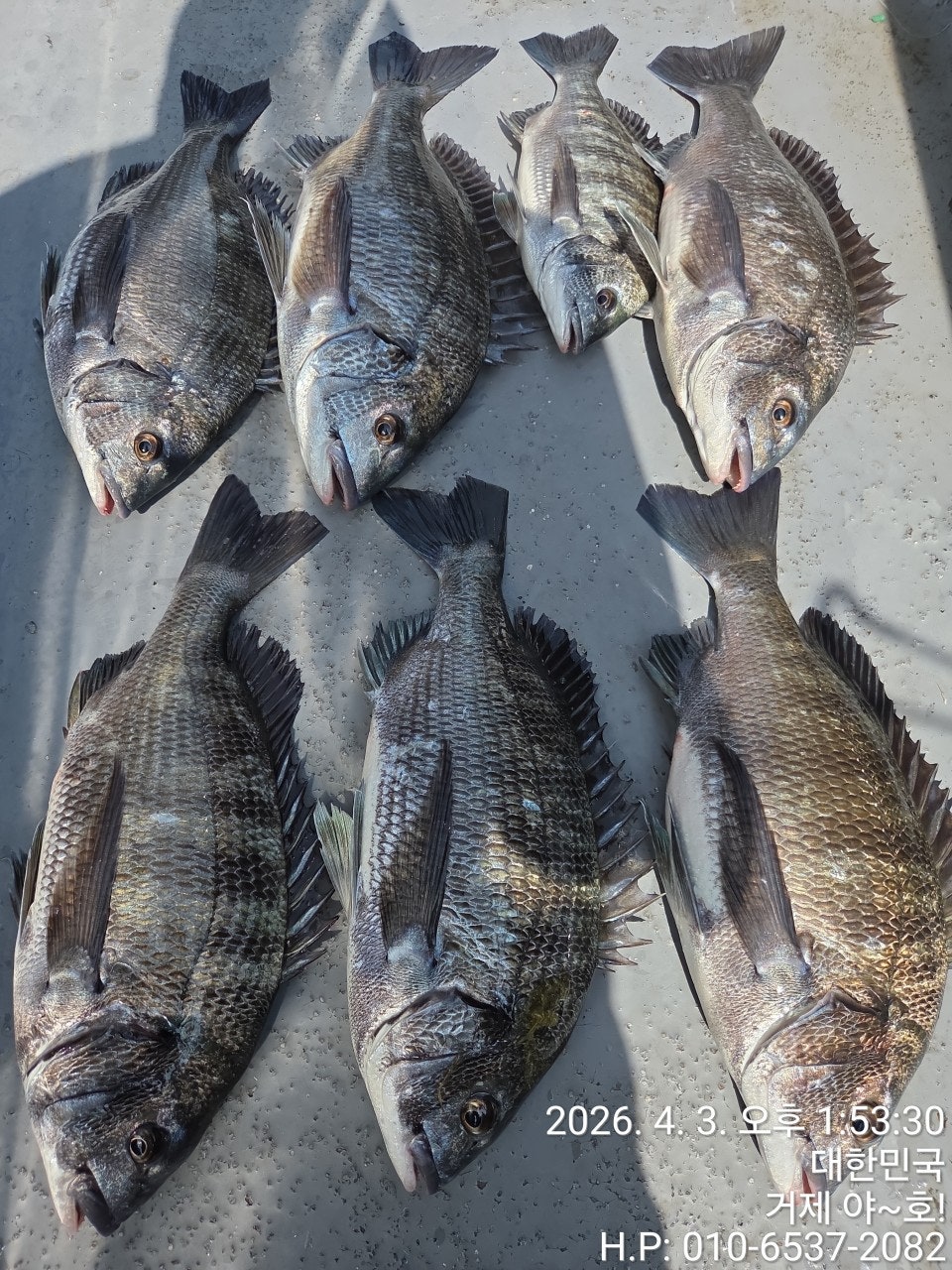 ����ڰ� �ø� �̹���