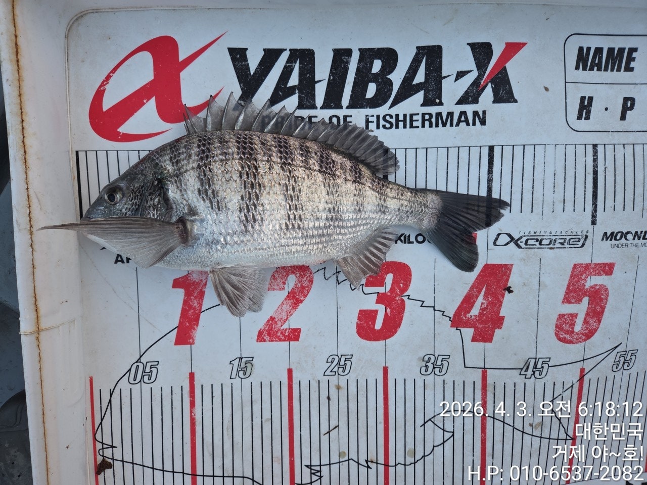 ����ڰ� �ø� �̹���