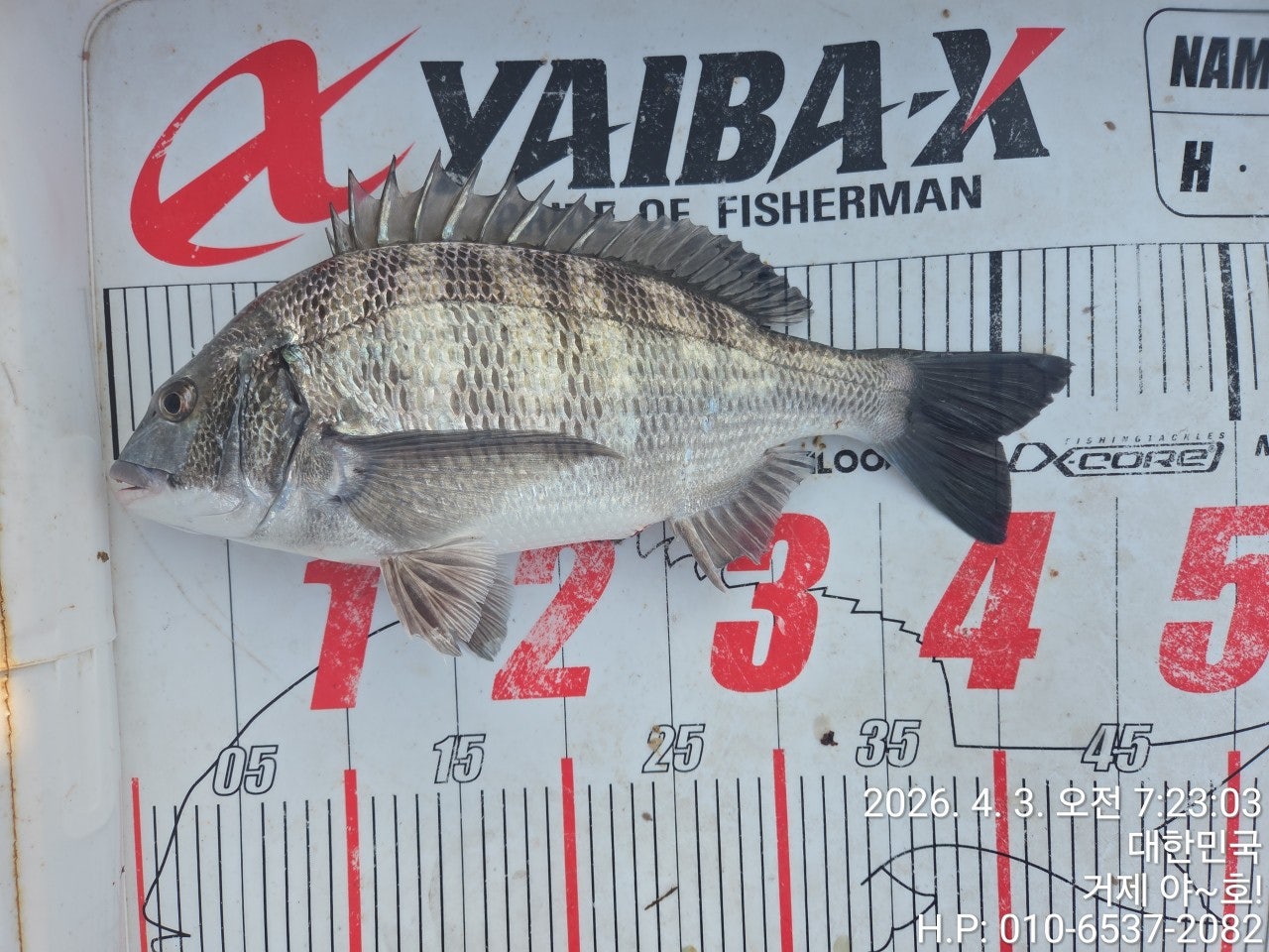 ����ڰ� �ø� �̹���