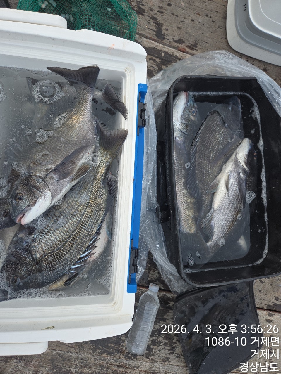 ����ڰ� �ø� �̹���