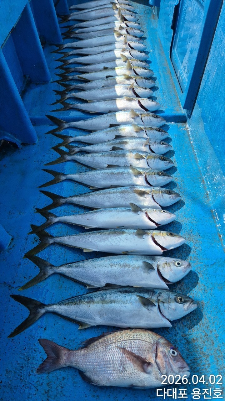 ����ڰ� �ø� �̹���