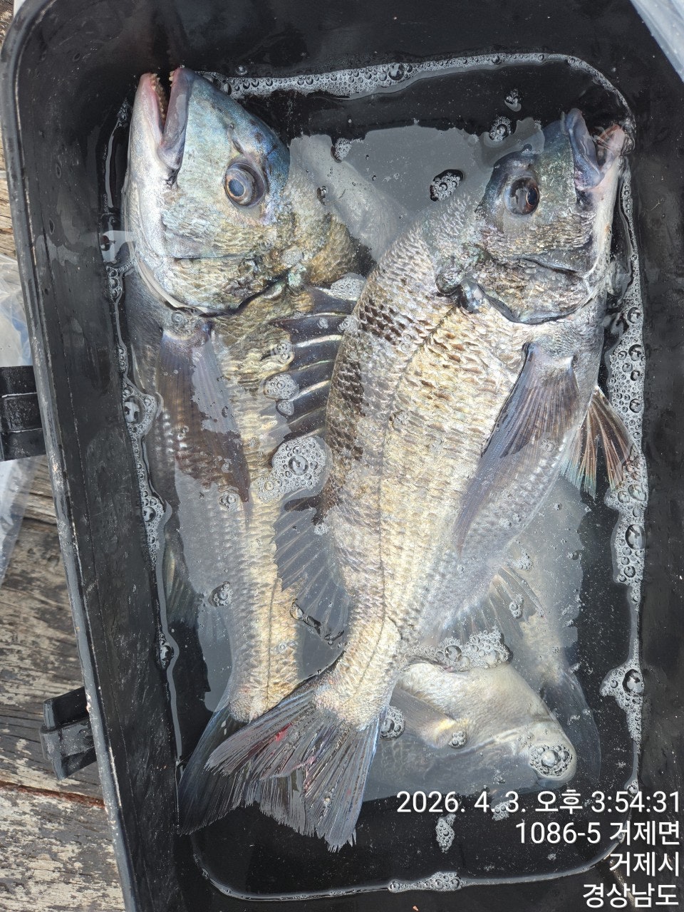 ����ڰ� �ø� �̹���