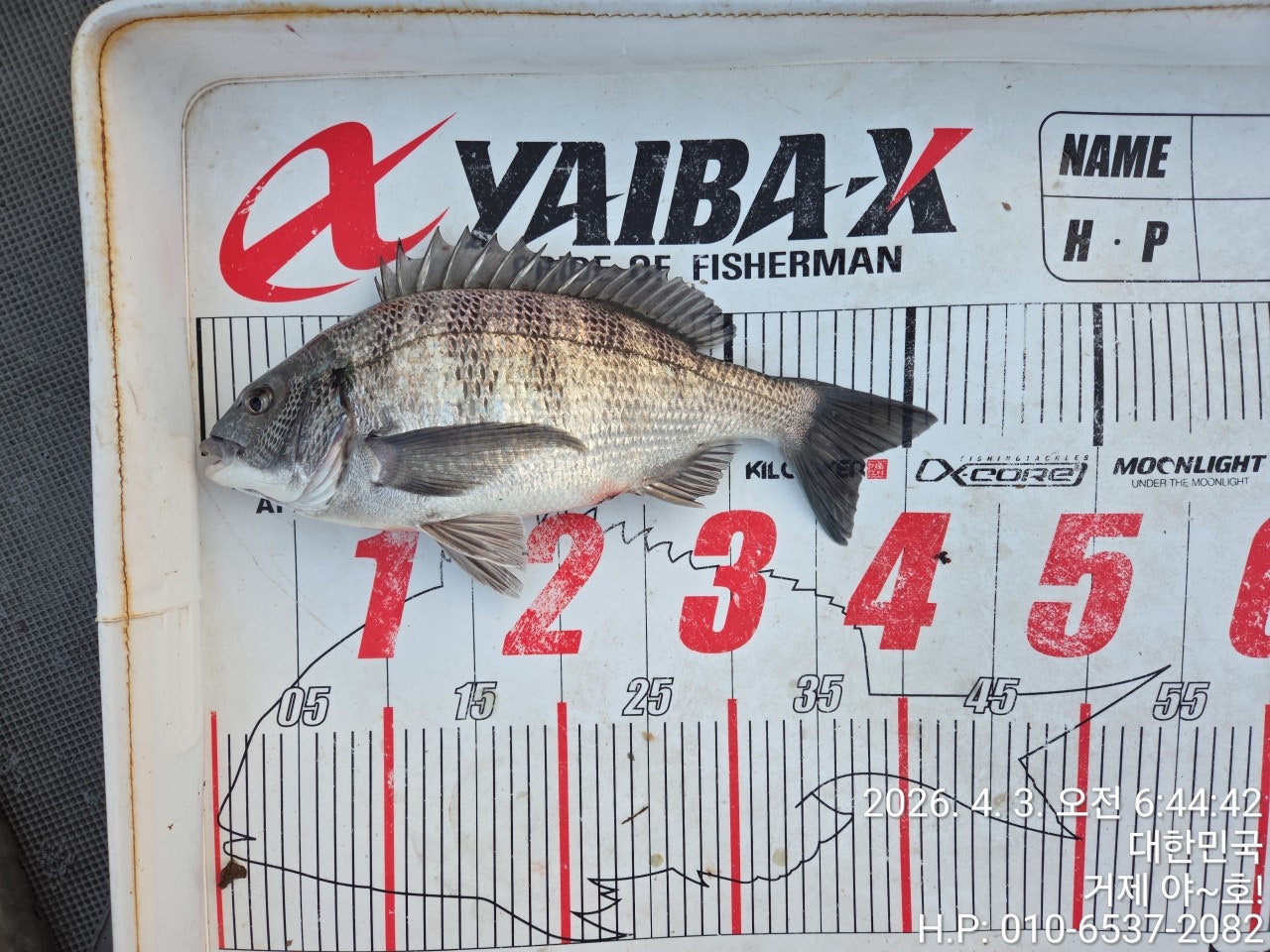 ����ڰ� �ø� �̹���