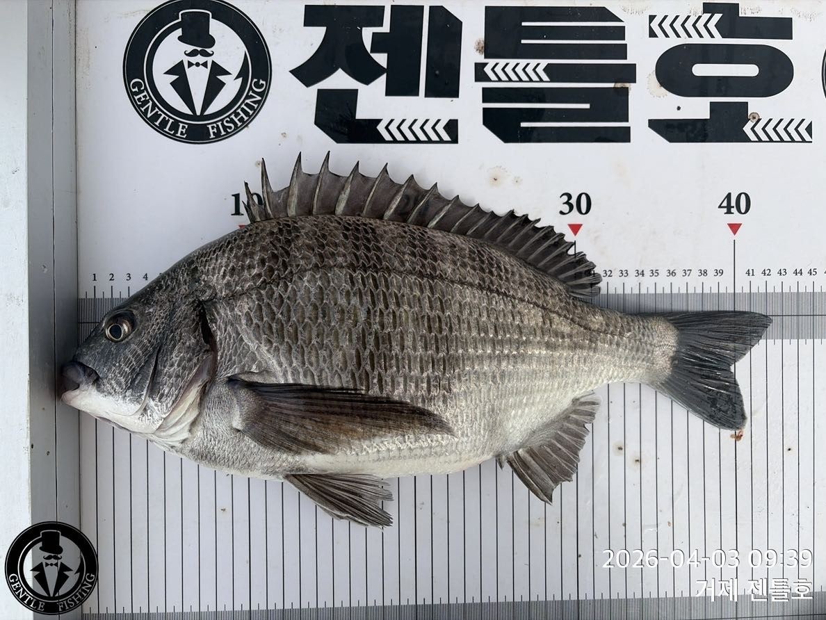 ����ڰ� �ø� �̹���