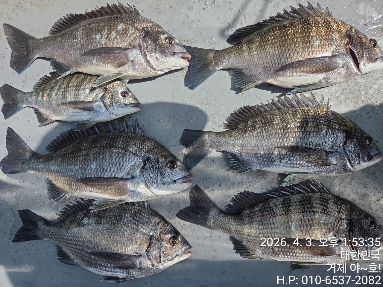 ����ڰ� �ø� �̹���