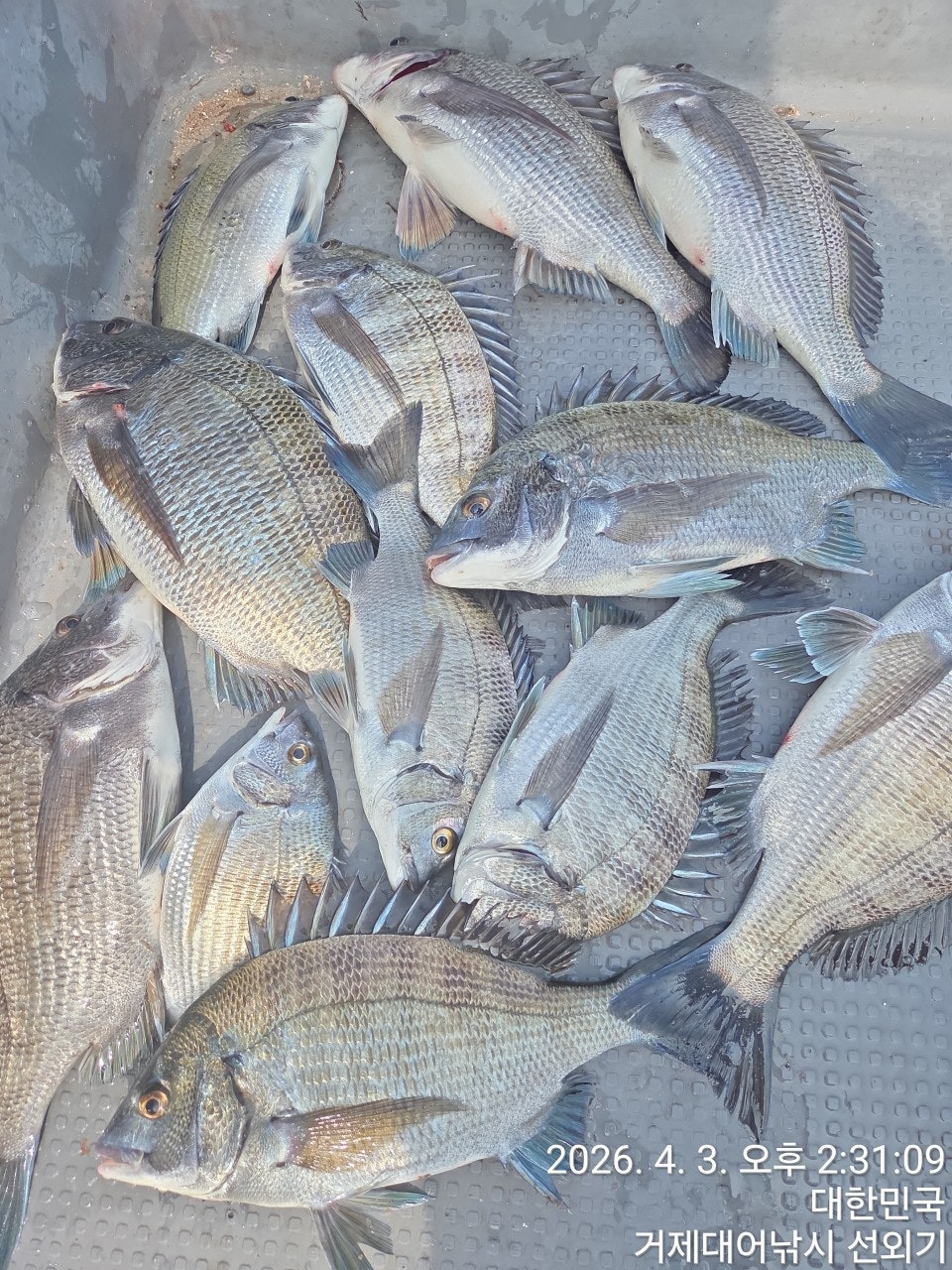 ����ڰ� �ø� �̹���