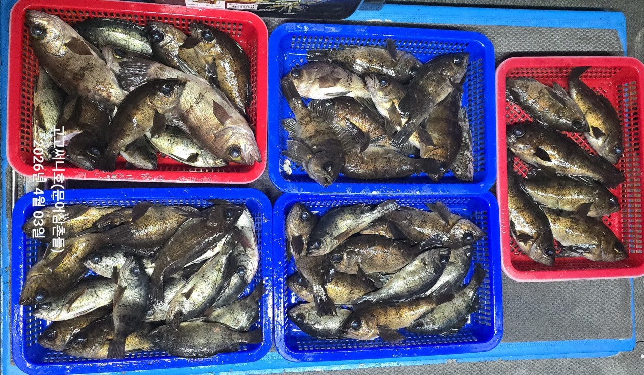 ����ڰ� �ø� �̹���