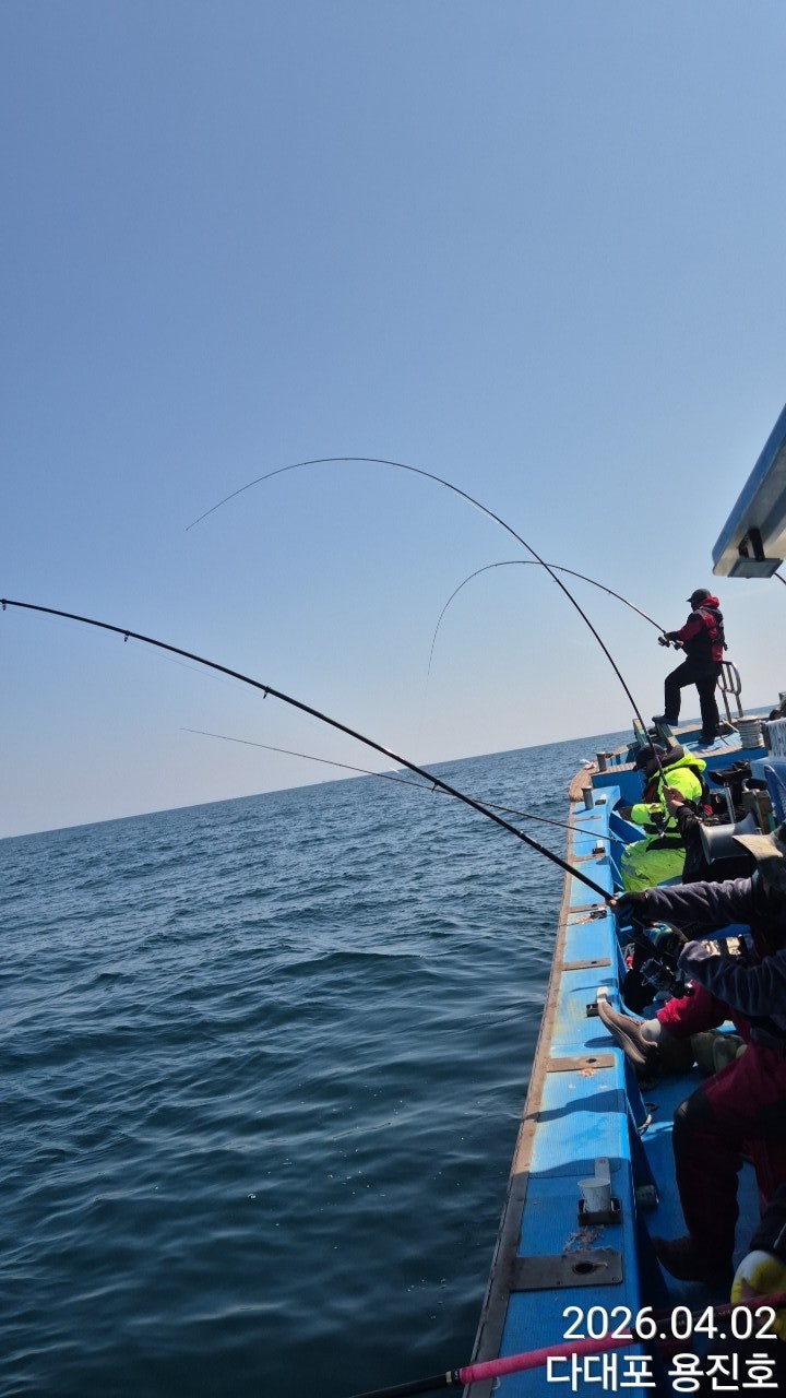 ����ڰ� �ø� �̹���