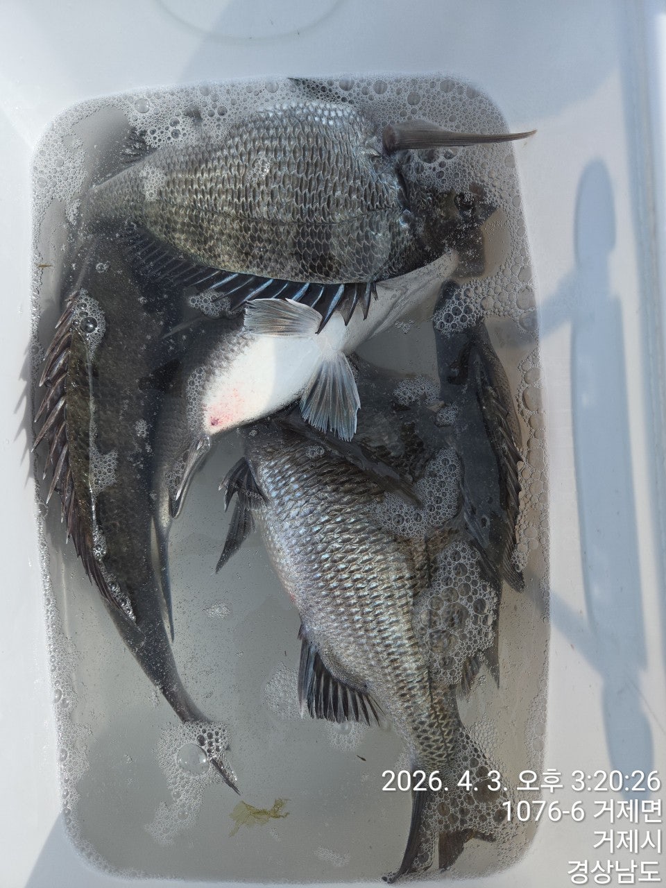 ����ڰ� �ø� �̹���