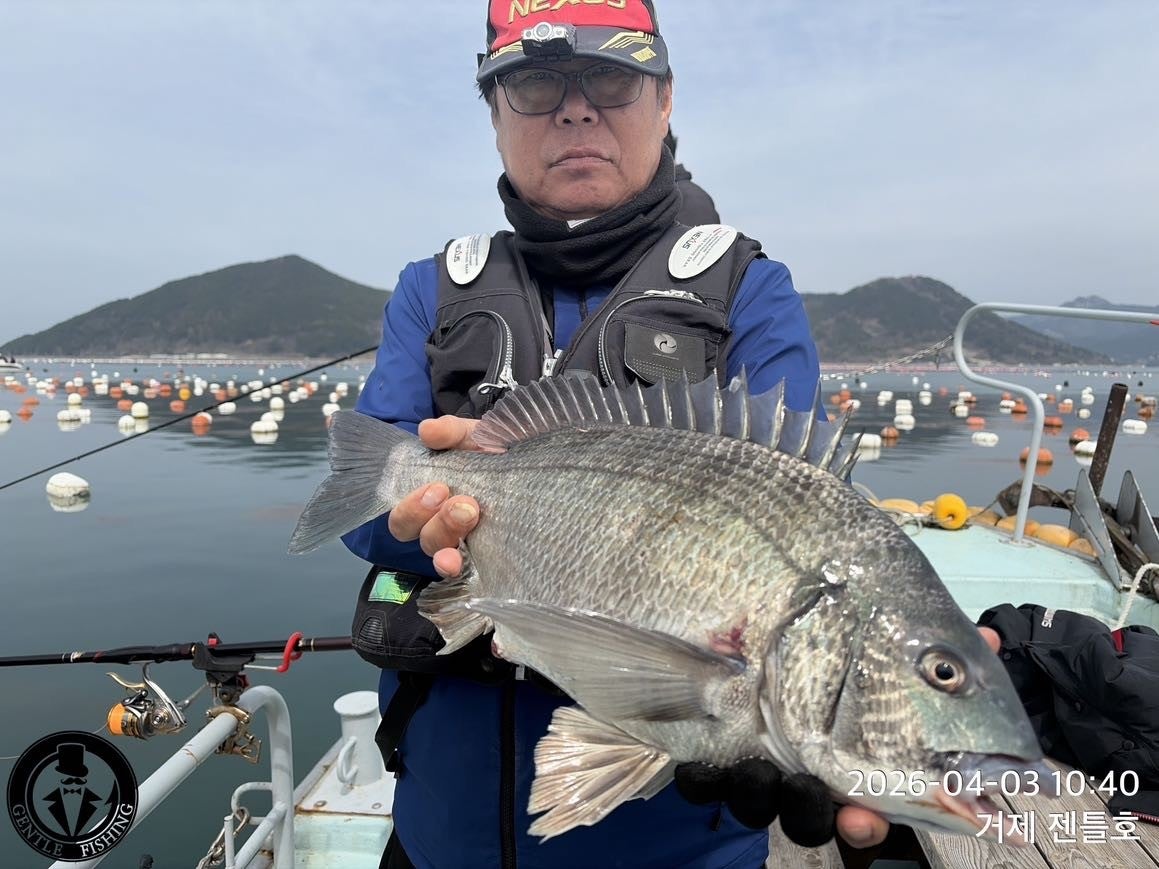 ����ڰ� �ø� �̹���