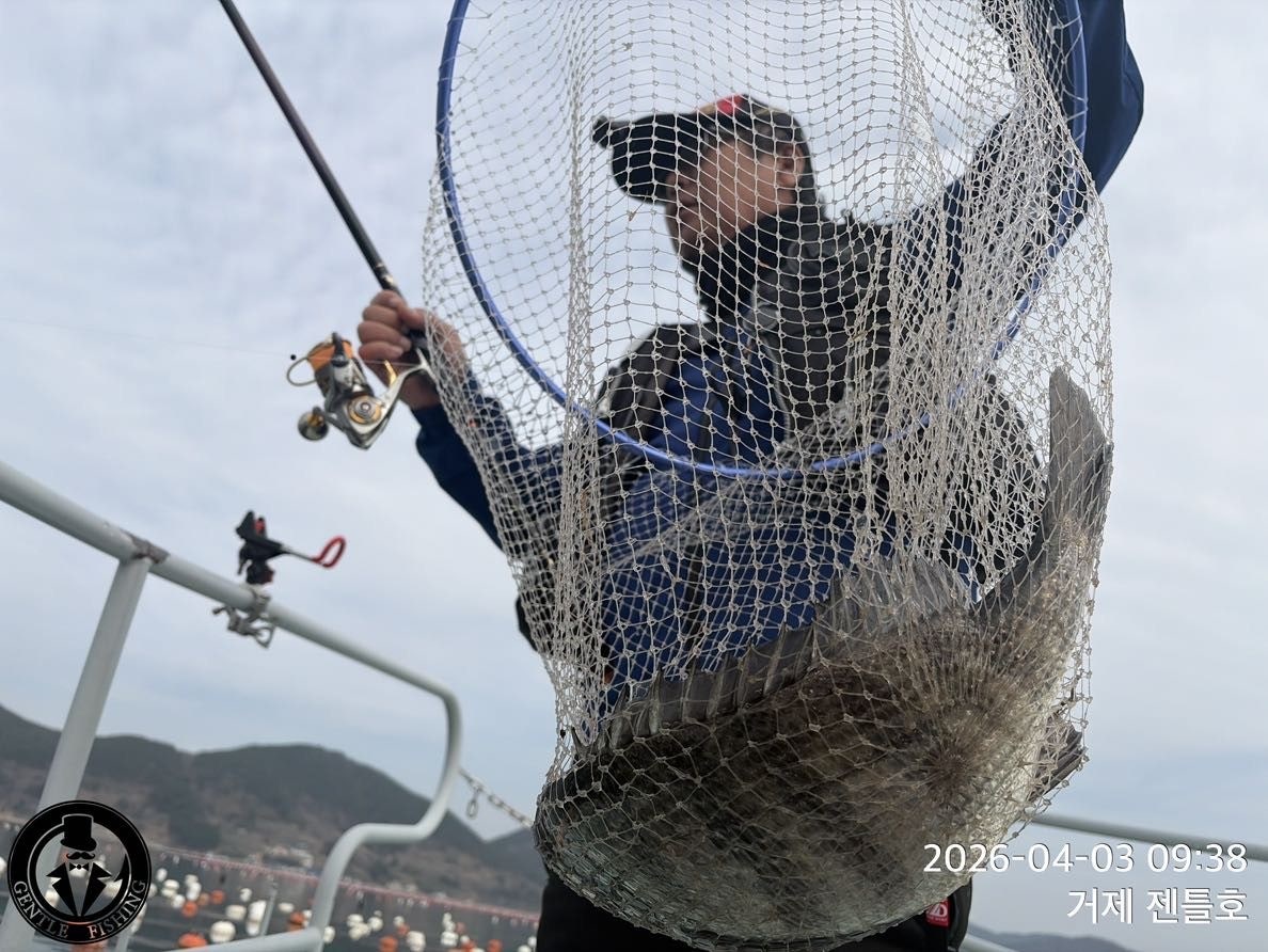 ����ڰ� �ø� �̹���