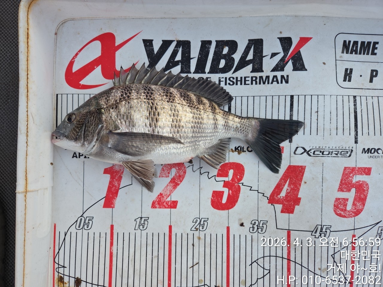 ����ڰ� �ø� �̹���