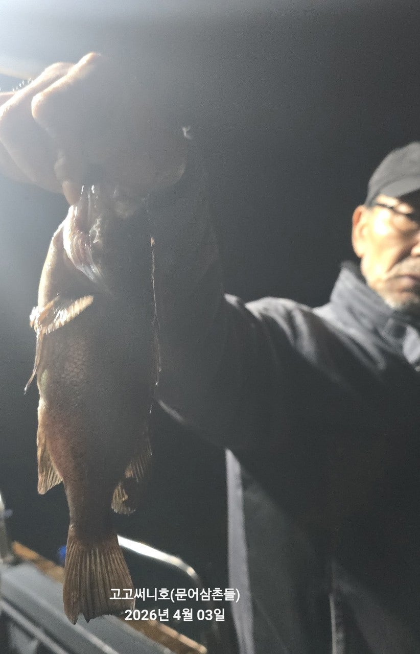 ����ڰ� �ø� �̹���