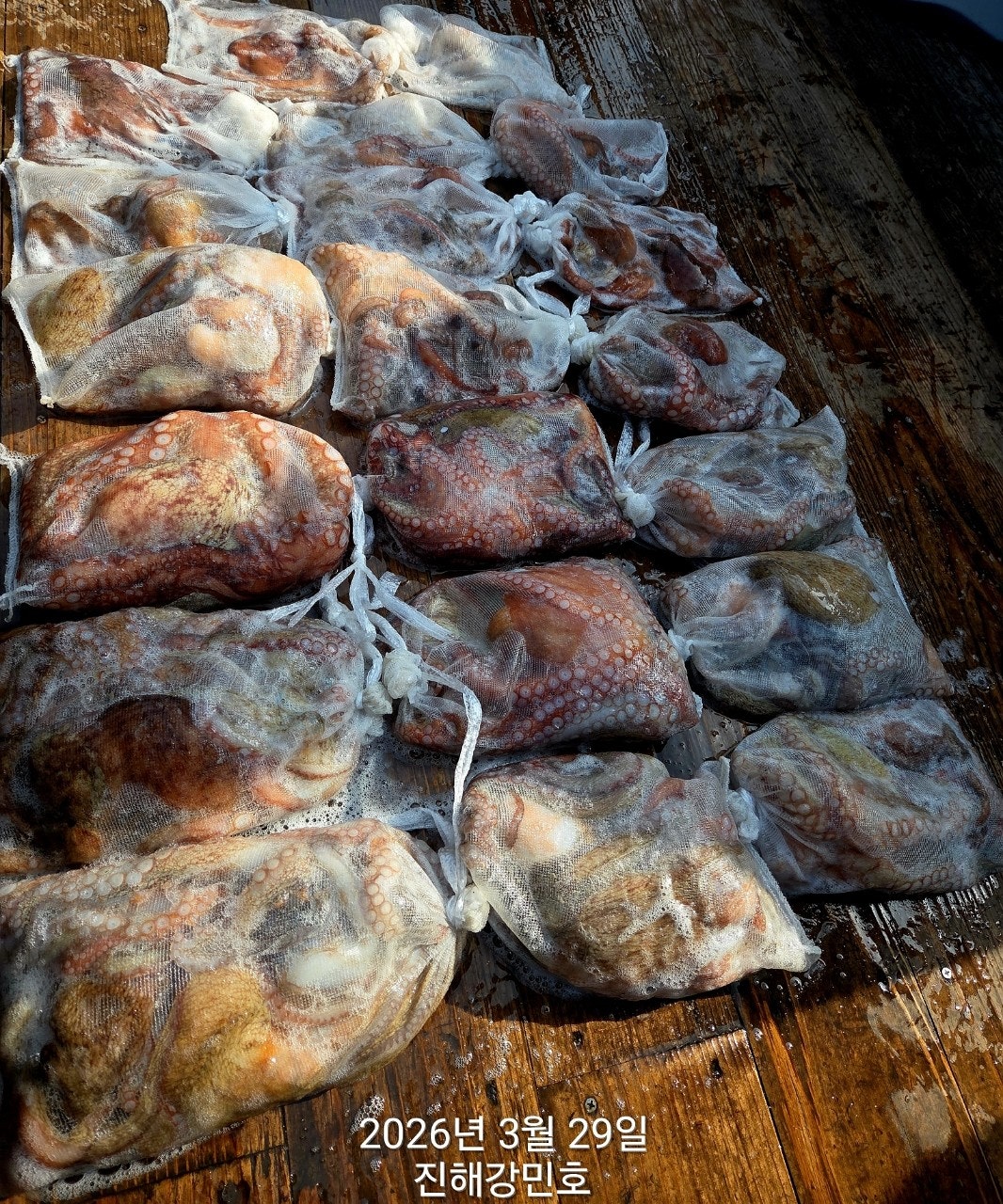 ����ڰ� �ø� �̹���